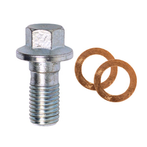 Banjo Bolt M10 x 1.25 x 22mm