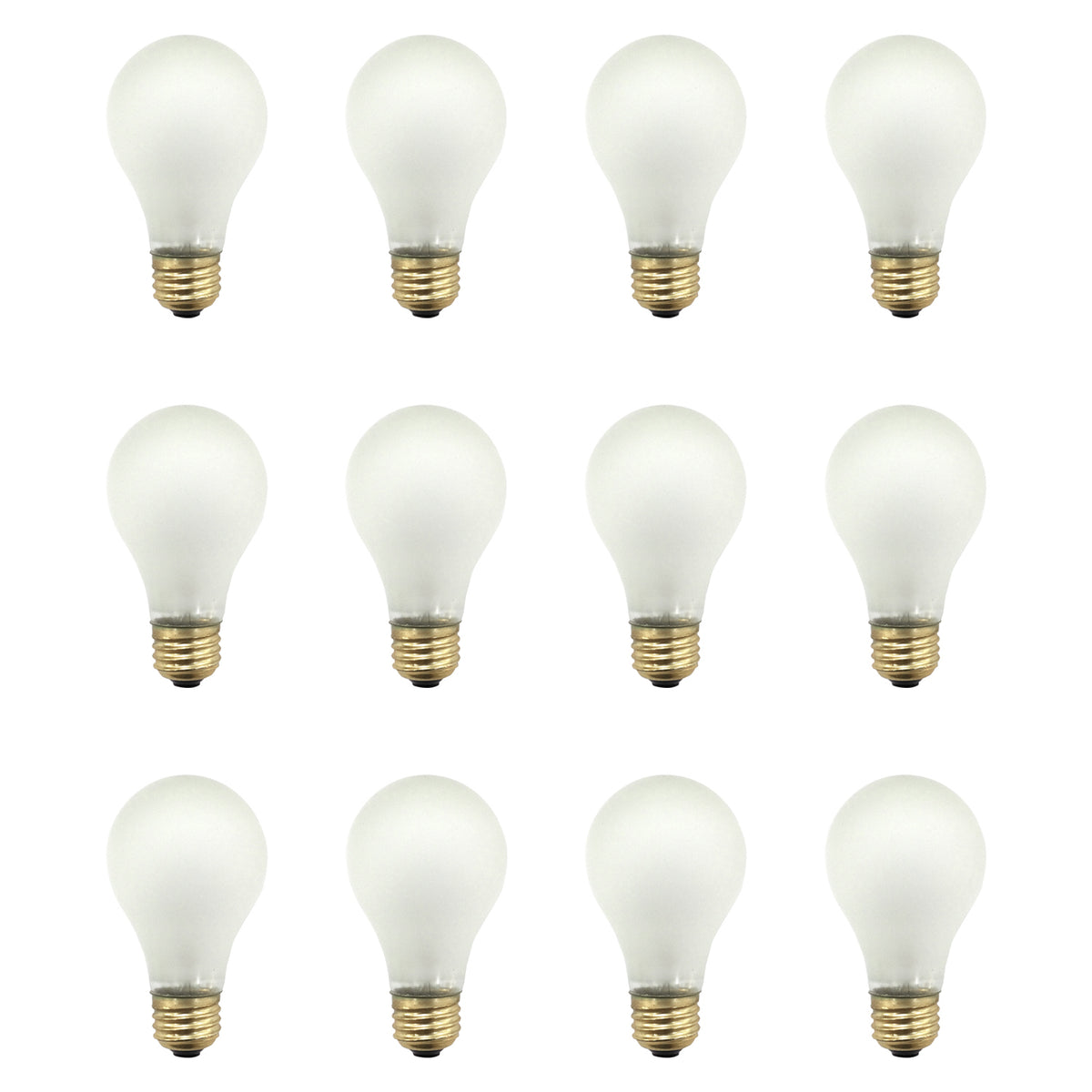 Rough Service Light Bulb 40W, 120VAC