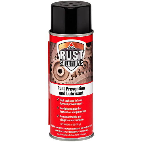 AGS Rust Prevention and Lubricant Spray Can