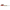 Japanese Steel Brake Line