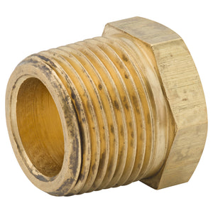 Hex Plug, Brass, 3/4" NPTM, Bag of 1