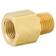Adapter, Brass, 1/8 NPTM, 1/8 NPTF, Bag of 1