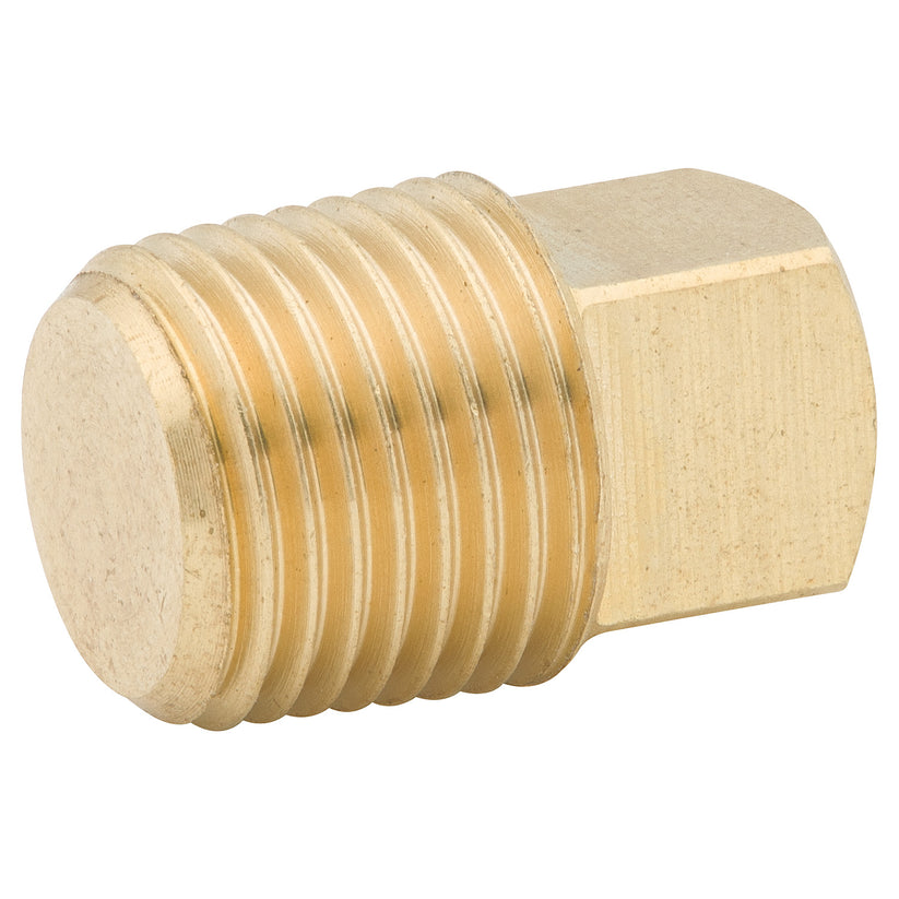 Sq Head Plug, Brass, 1/8 NPTM, Bag of 1
