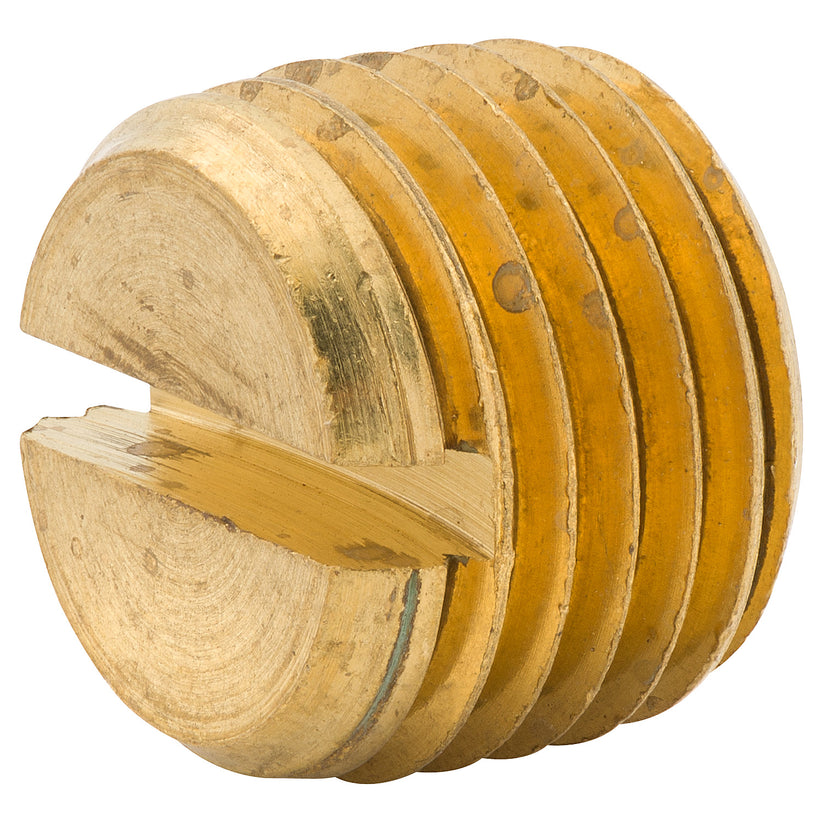 Slotted Plug, 1/4 NPTM, Bag of 1